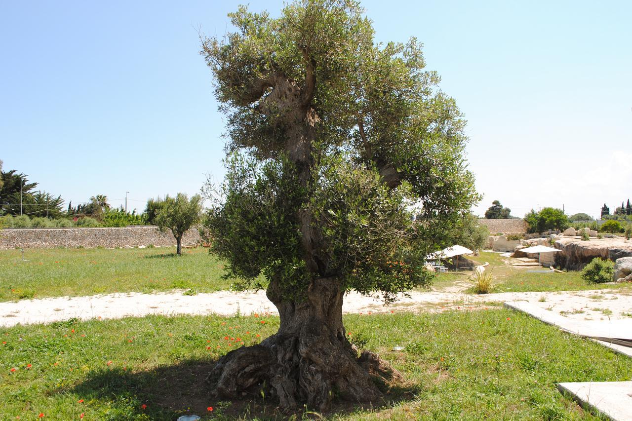 Masseria Gelsi Торе Чианка Екстериор снимка